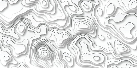 Abstract curve grid map and topo contour map white background. Topographic contour lines. Topographic map. Geographic mountain relief. Abstract lines background. Contour maps. 
