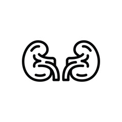 Black line icon for nephrology
