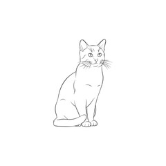 Ilustration Vector Graphic  of a cat