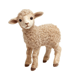 Fototapeta premium A cute lamb with fluffy wool stands and looks forward isolated on transparent background