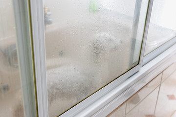 Cute wet dog taking a bath behind shower door
