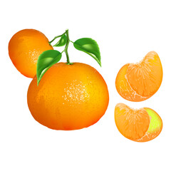 Orange   with leaf vector collection set. Juicy orange shapes. Fresh citrus illustration.