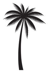 Minimalist Black Palm Tree Silhouette Isolated on White Background