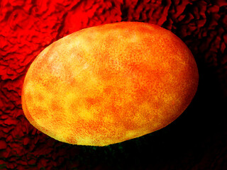 Cell Nucleus - 3D Microscopic Render of a Eukaryotic Organelle