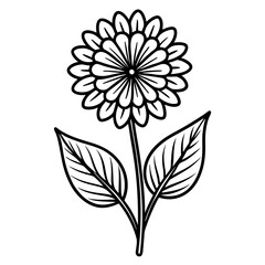 black and white flower