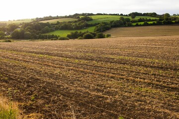 Scenic view of farm landscape