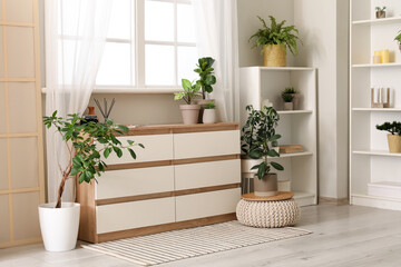 Interior of modern room with houseplants, window, shelving unit and chest of drawers