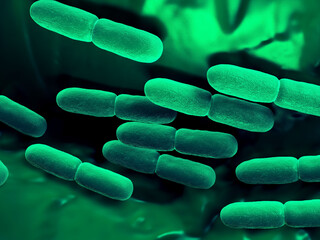 3D Render of Probiotic Bacteria - Rod-Shaped Microbes (Lactobacillus)