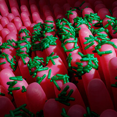 Bacteria on Intestinal Villi - 3D Microscopic Render