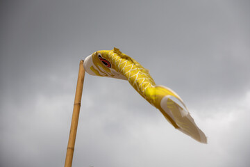 Two koinobori (carp streamers) flying against a cloudy sky. Traditional Japanese decorations for Children's Day
