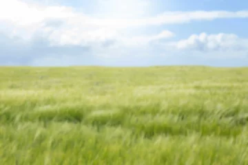 Vitrage gordijnen Scenic view of grassy field © vectorfusionart