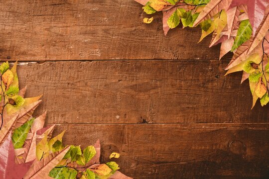 Showing flat design wooden planks edging with maple and yellow-green leaves at corners, copy space