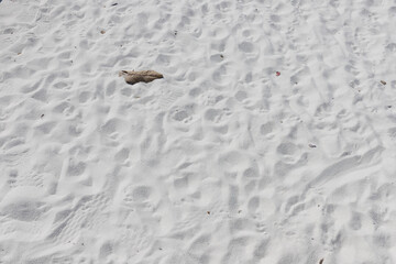Fine white sand that glistens and reflects the sunlight.