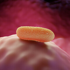 Rod-Shaped Bacteria (Bacilli) on Tissue Surface - 3D Render