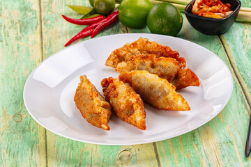 Asian fried stuffed dumplings gyoza