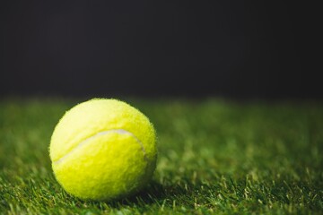 Close up of tennis ball on the grass © vectorfusionart