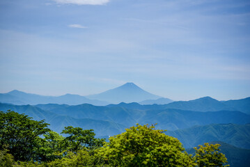Fototapeta premium 鷹巣山から見る富士山