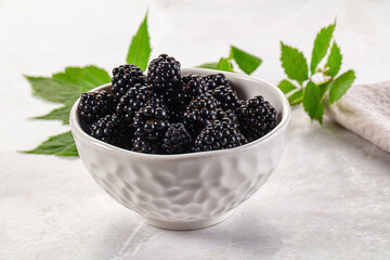 Raw sweet juicy blackberry in the bowl