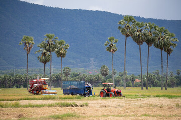 farmer working on a field