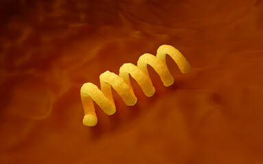 Spiral Bacteria 3D Render - Microscopic View of Spirillum or Spirochete