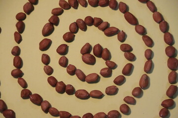 Raw Peanuts as Symbol of Market Price Trends

Close-up of Peanut Seeds Representing Commodity Value