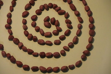 Artistic Arrangement of Peanut Seeds in Creative Pattern

Groundnut Seeds Designed in Artistic Symmetry