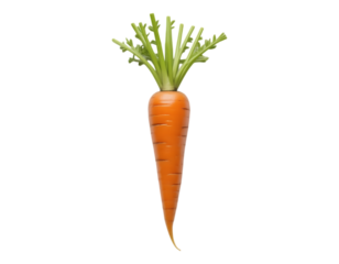 A vibrant and detailed illustration of a fresh carrot.