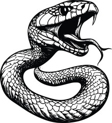 Fototapeta premium Aggressive Cobra Snake Vector Illustration: Detailed Ink Drawing