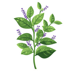 A lush green plant with vibrant purple berries stands tall, isolated on transparent background