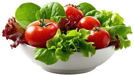 Fresh Garden Salad in Bowl: A vibrant assortment of colorful salad ingredients including tomatoes, lettuce, spinach and more are piled high in a crisp white bowl.
