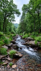 Obraz premium Forest stream flowing through rocks