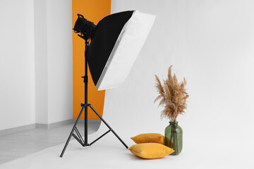 Modern photo studio with floral decor in vase, pillows and professional lightening equipment on...
