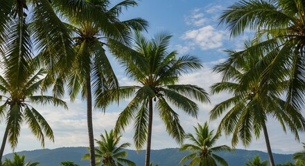 Lush Green Palm Trees Against a Vibrant Blue Sky Tropical Paradise