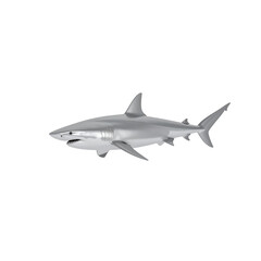 Fototapeta premium Great white shark swimming underwater, isolated on white, a dangerous marine predator