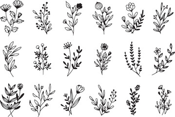 Botanical Herb Bundle – Minimal Flower Doodles PNG