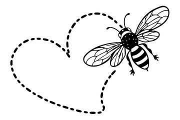 black and white butterfly
