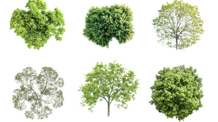 Set of green tree and leaf shapes top view cut out isolated on white background

