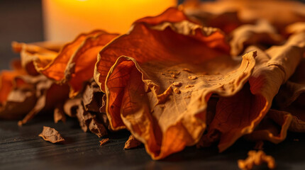 Close-up of dried tobacco leaves