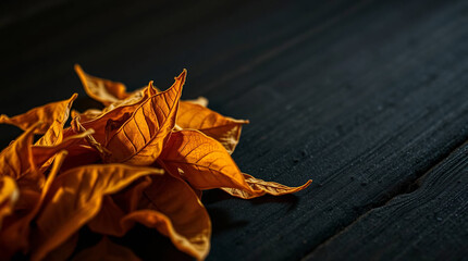 Close-up of dried tobacco leaves