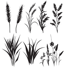 Naklejka premium wheat silhouette set, Black & White silhouette set