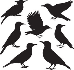 Seven Black Bird Silhouettes Various Poses birds