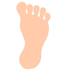 足の裏　イラスト