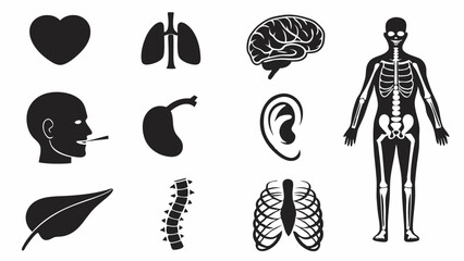 Black silhouettes of human anatomy