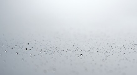 Water Droplets: A Serene Minimalist Study