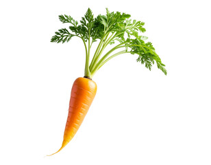 Close-up image of baby carrots, PNG