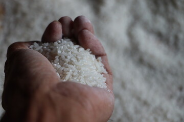 Palm with Rice as Concept for Agriculture Economy

Rice in Hand Depicting Price Changes in Food Market