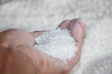 Close-Up of Palm Full of Rice Representing Market Price