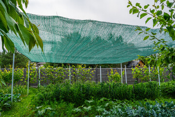 Shading net stretched over the vegetable garden. Protecting vegetable beds from the sun