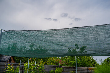 Shading net stretched over the vegetable garden. Protecting vegetable beds from the sun