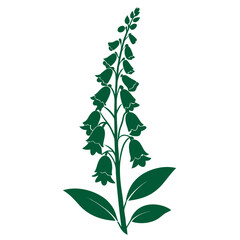 foxglove flower silhouette on white background © Mariam